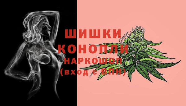 спиды Коряжма