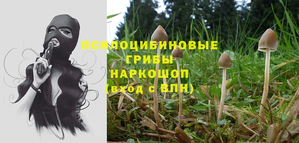 соль ск Корсаков
