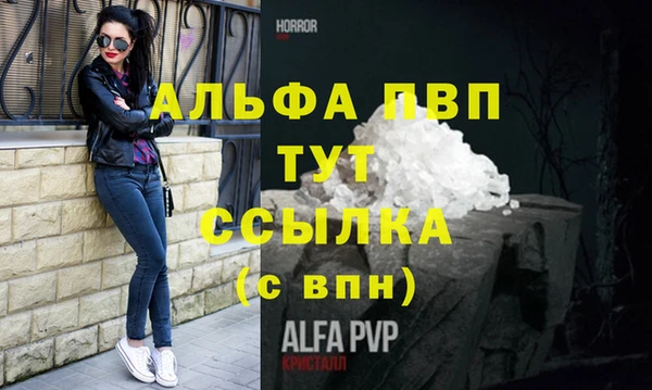 спиды Коряжма